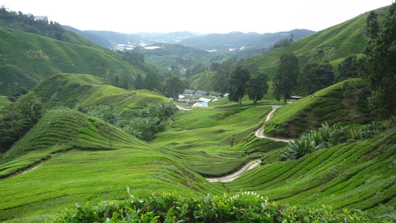 The Quintet Cameron Highlands By Tulip Tanah Rata Exterior foto